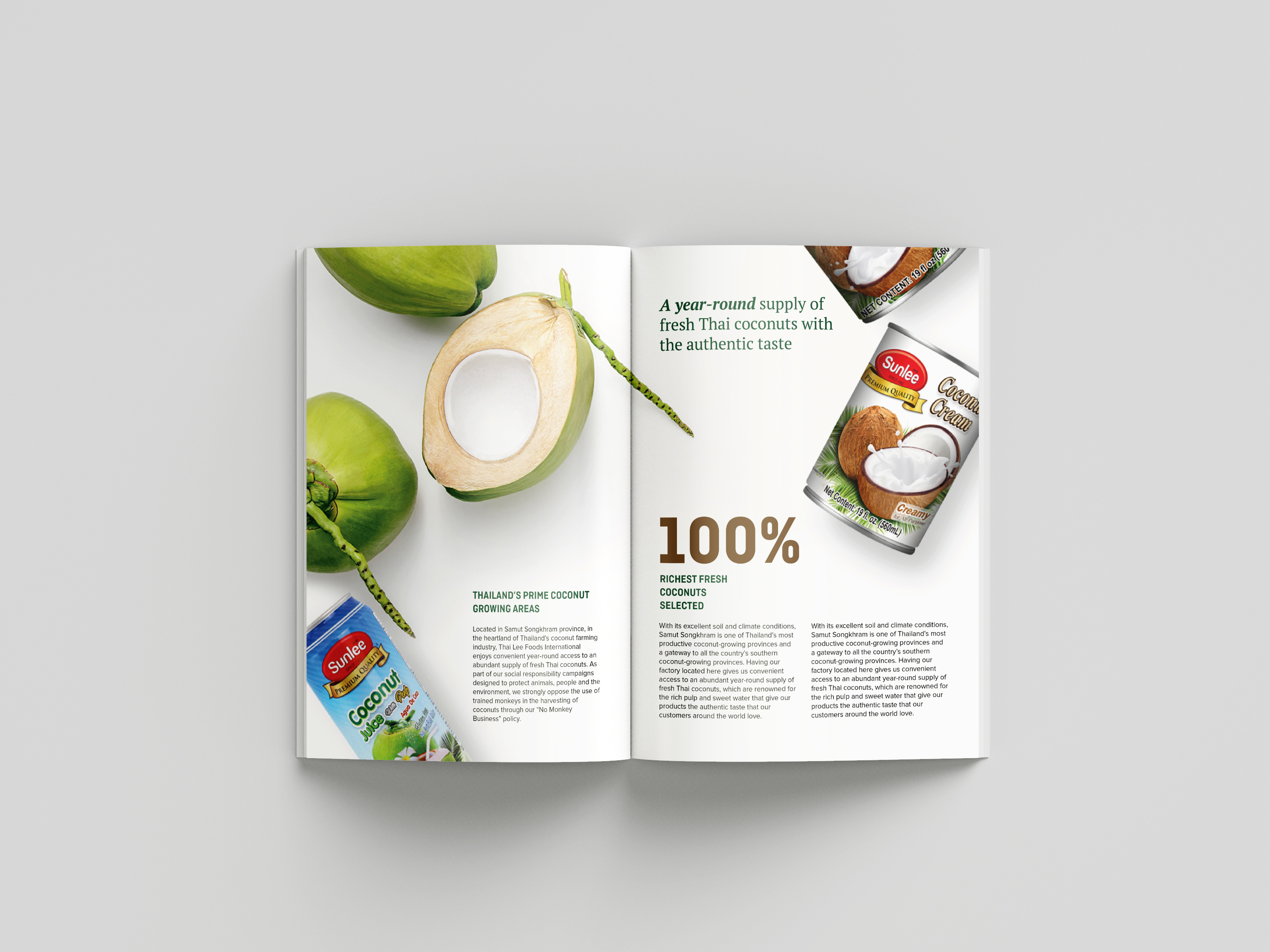 Print Design, Brochure Design Company